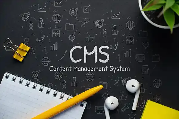 CMS - wordpress, strony internetowe oparte na wordpress